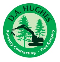 forestry-contracting-d-a-hughes-forestry